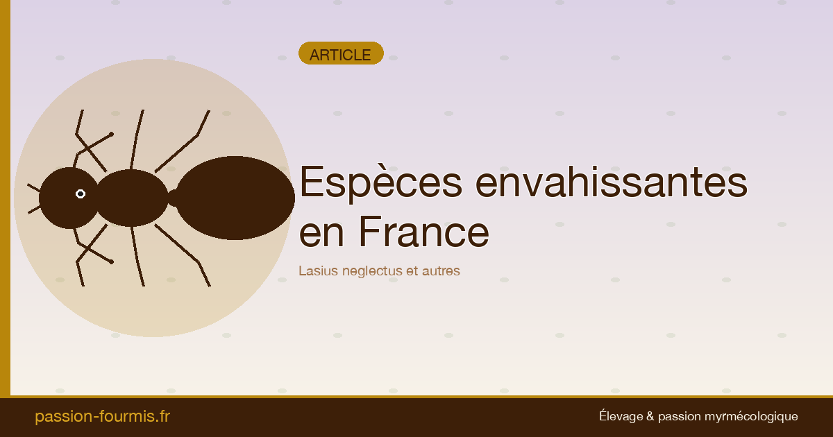 Espèces de fourmis envahissantes en France