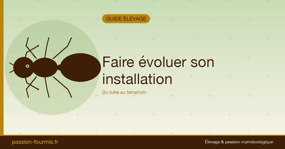 Faire évoluer son installation au fil de la colonie