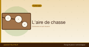 L&rsquo;aire de chasse : connexions et anti-évasion
