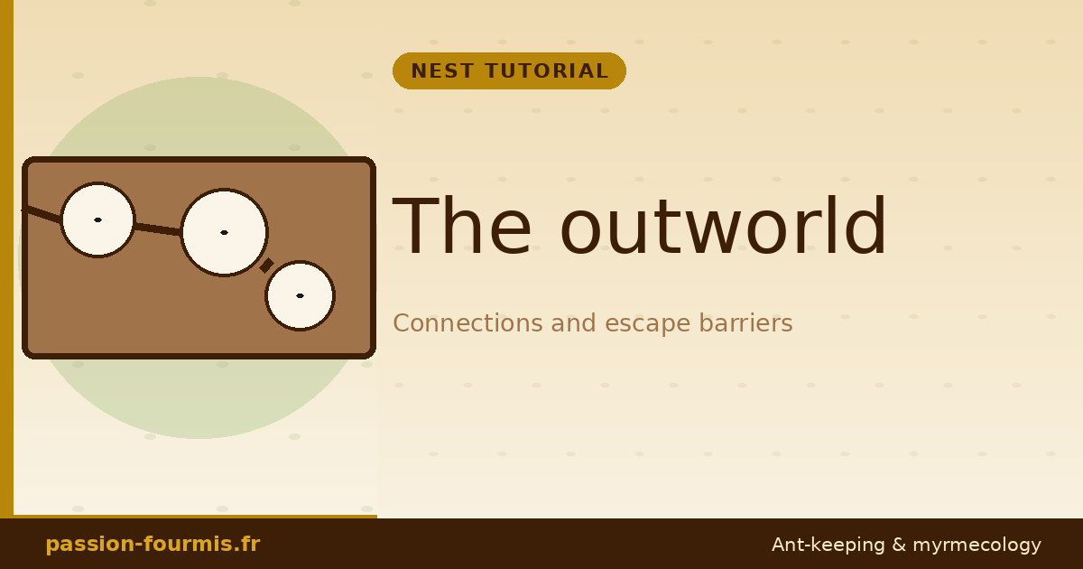 The outworld: connections and escape barriers
