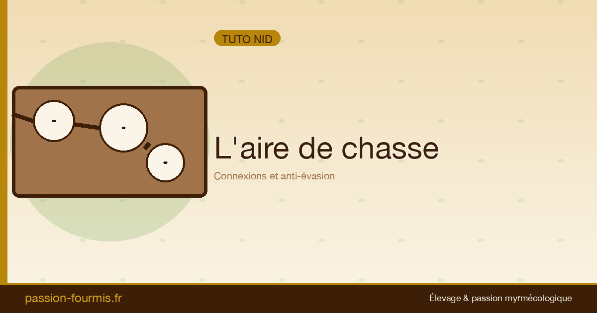 L’aire de chasse : connexions et anti-évasion