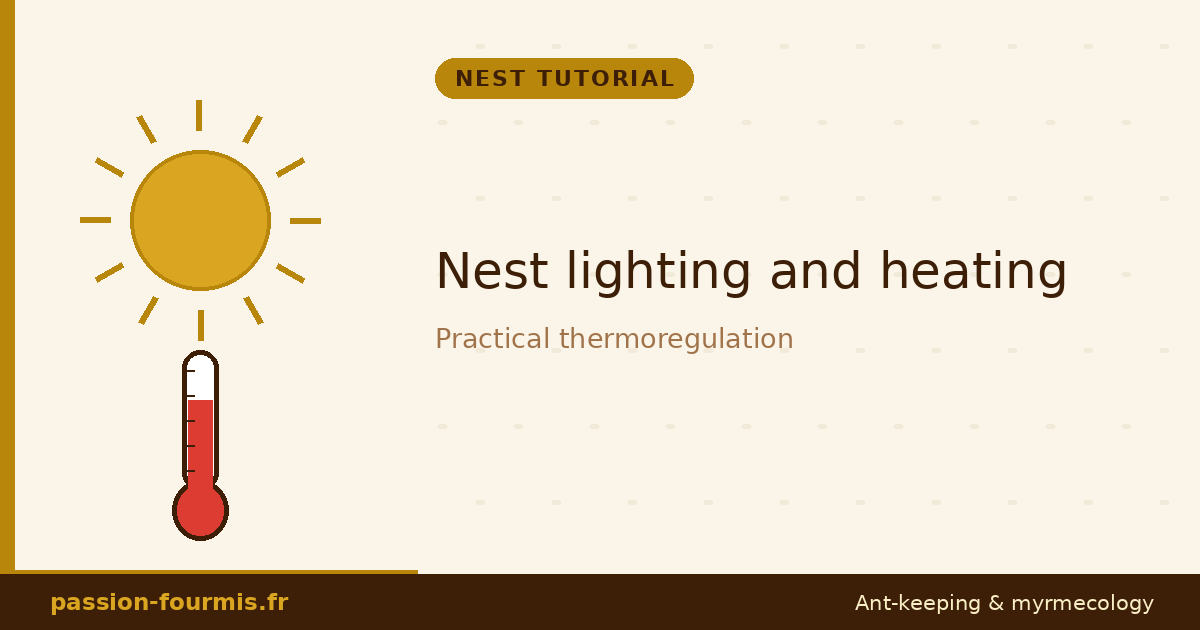 Nest lighting and heating: practical thermoregulation