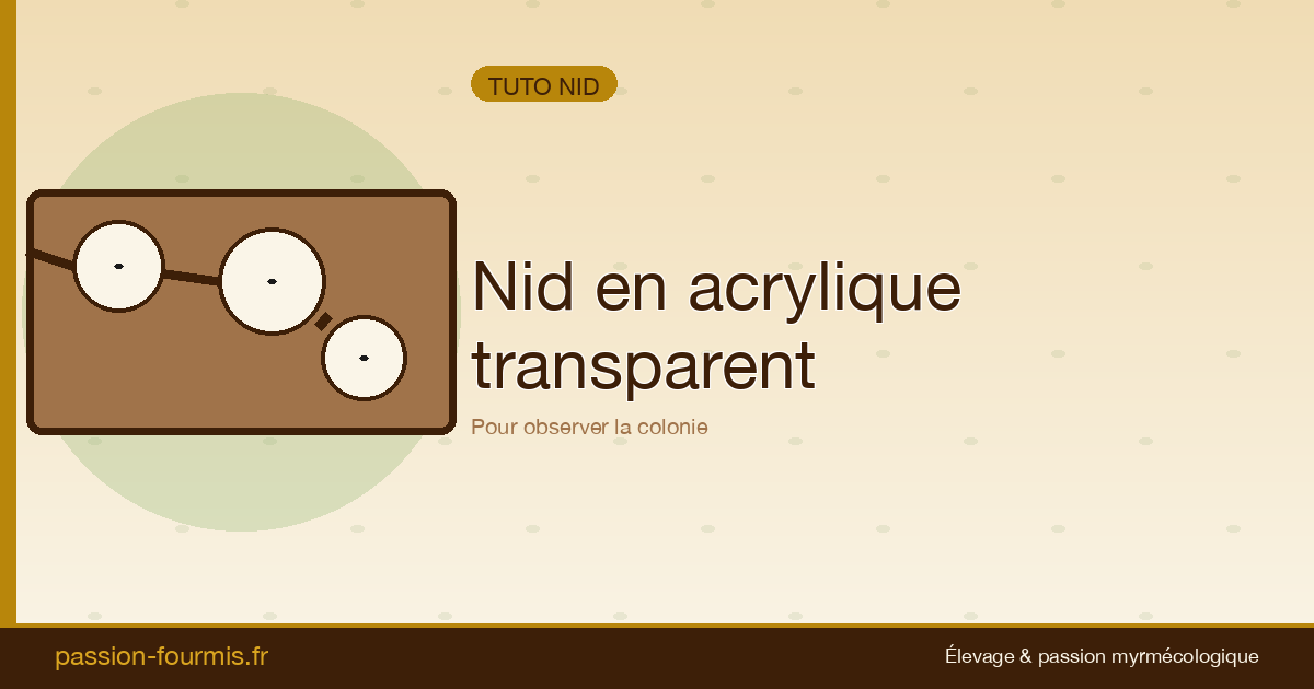 Nid en acrylique transparent : observation maximale
