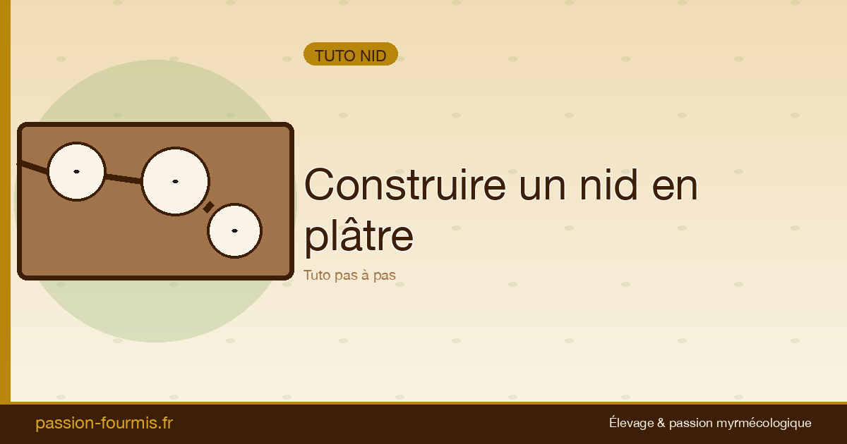 Construire un nid en plâtre simple