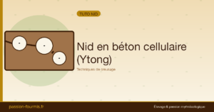 Nid en Ytong (béton cellulaire) : techniques de creusage