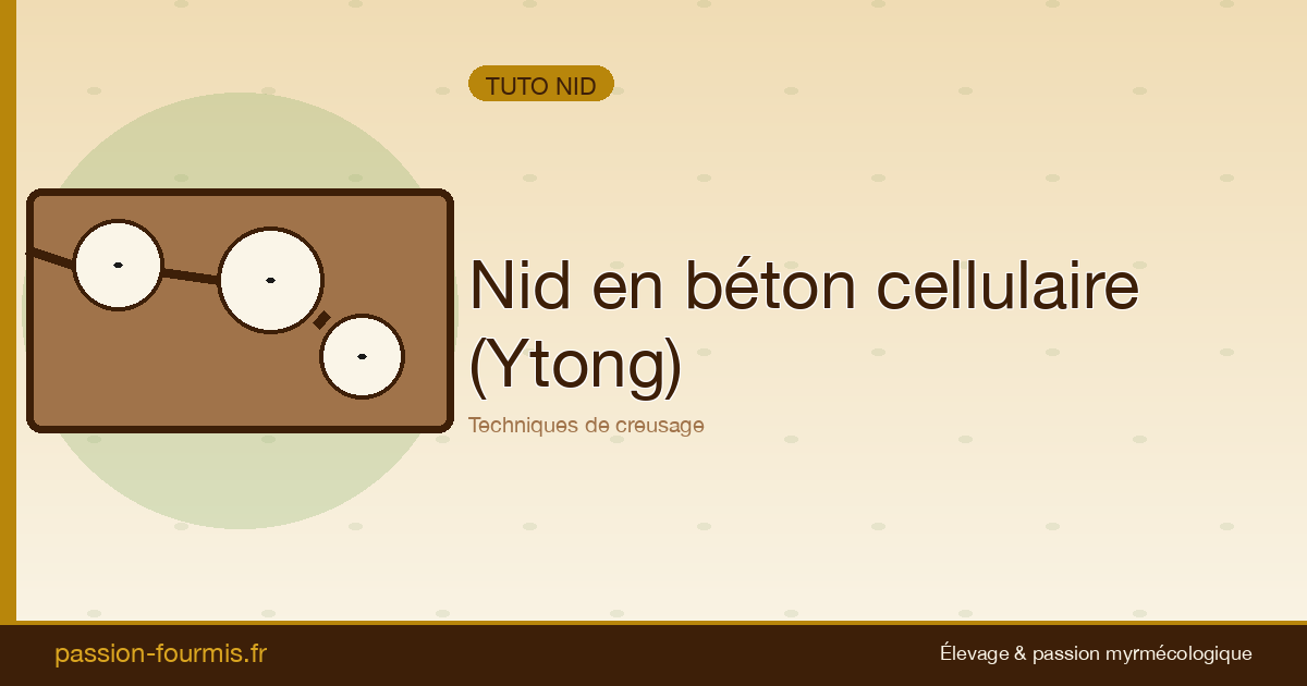 Nid en Ytong (béton cellulaire) : techniques de creusage