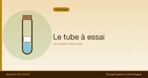 Le tube à essai : la fondation parfaite