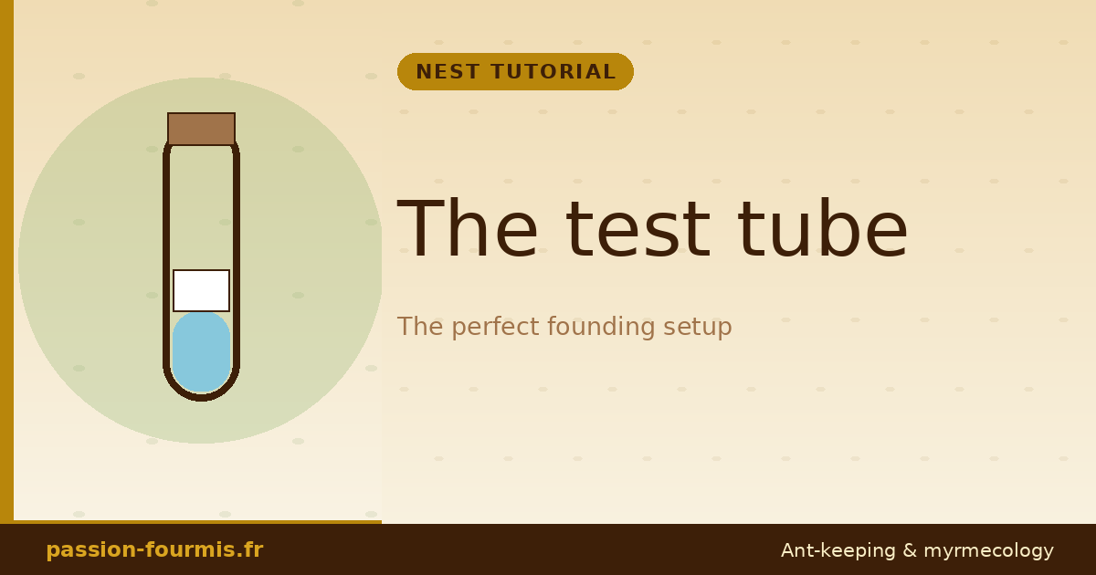The test tube: the perfect founding setup